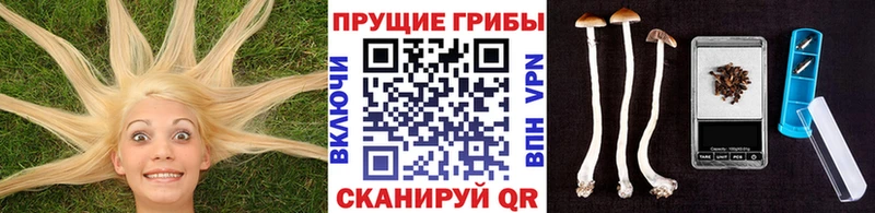 купить наркотик  MEGA зеркало  Псилоцибиновые грибы прущие грибы  Кувандык 